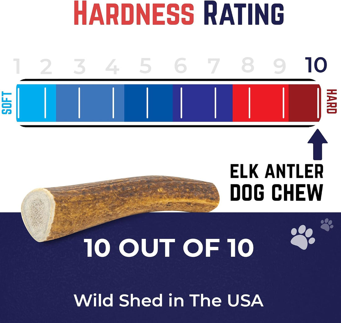 Devil Dog Pet Co. Elk Antlers for Dogs