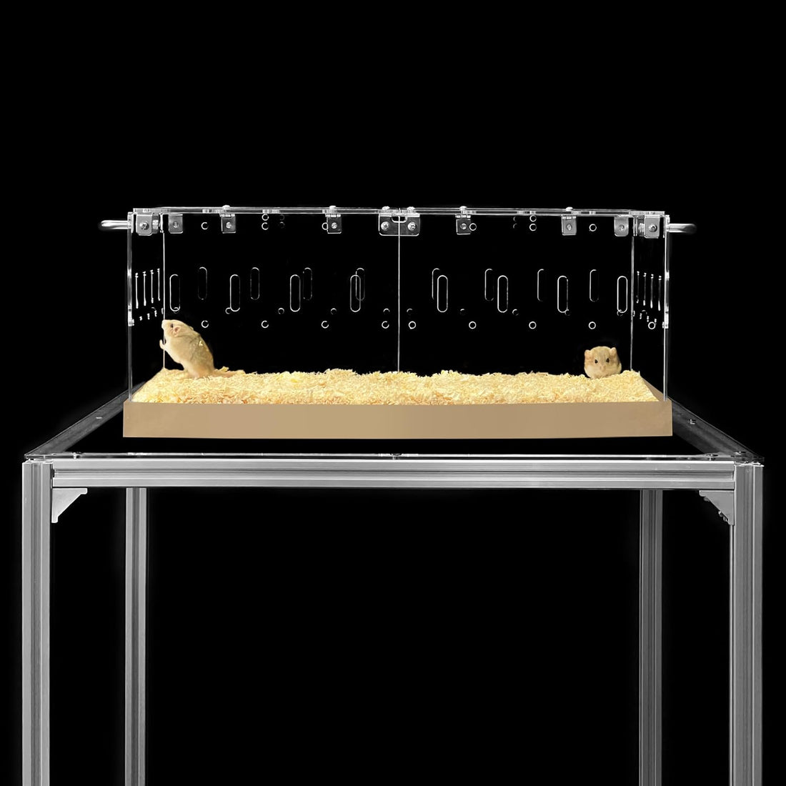 GuineaLoft™ Acrylic Cage - Small 2x1' Enclosure w/Lid & Bottom