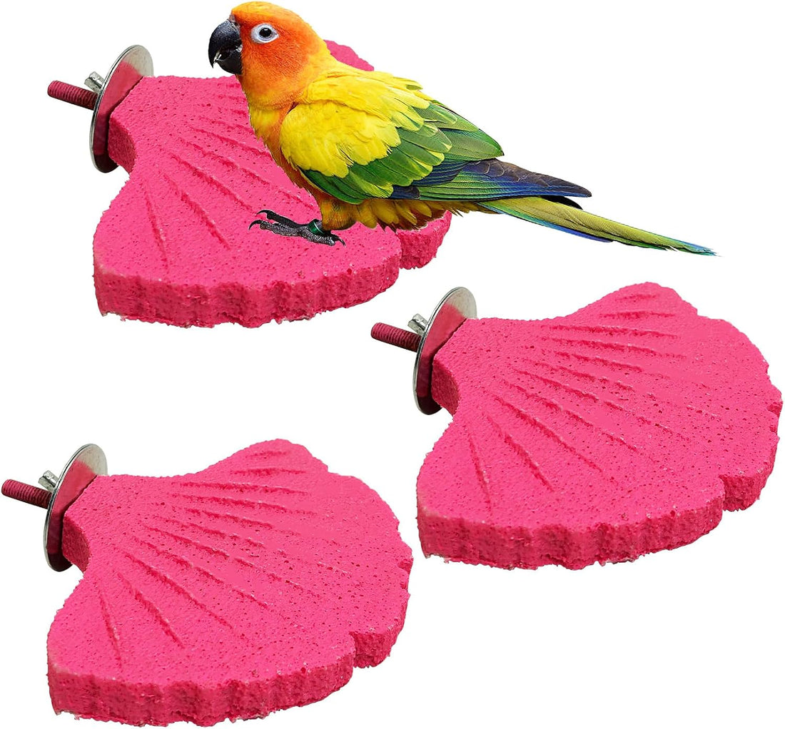 3 Pcs Parrot Perch Resin Bird Beak Grinding Stone