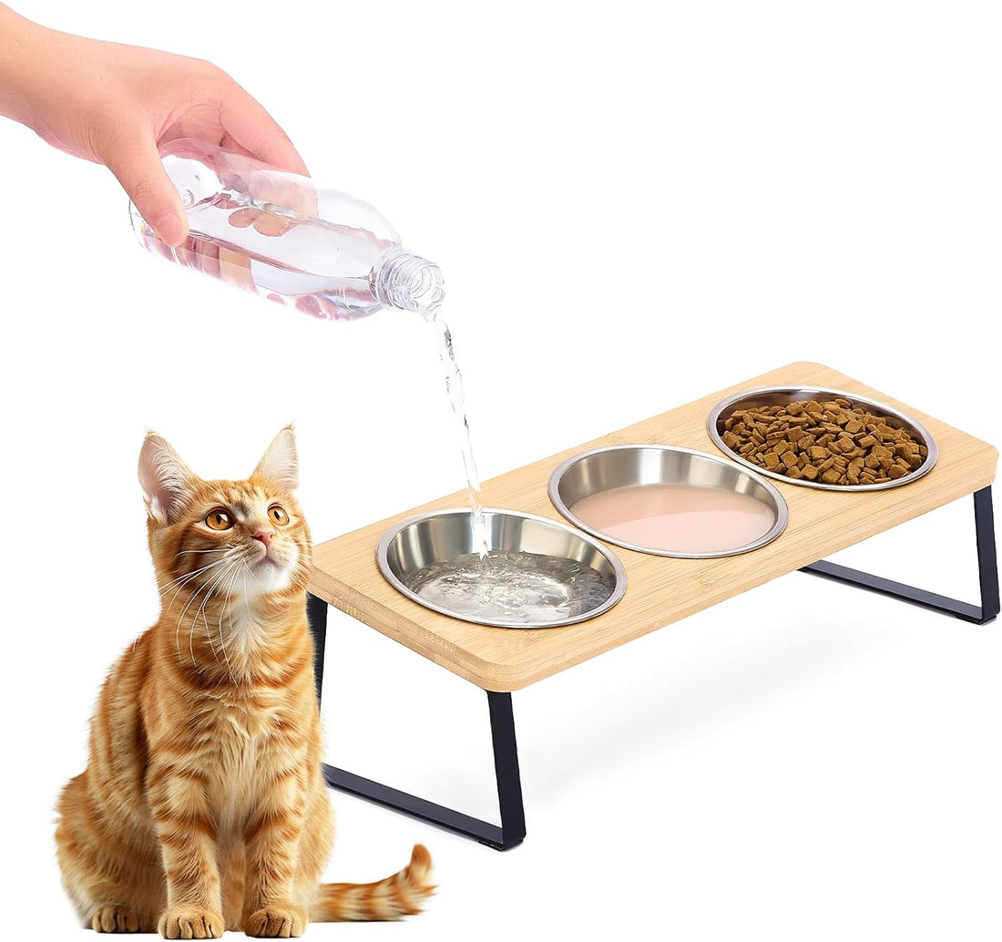 Elevated Cat Bowls, 15° Tilted Glass Raised Cat Food and Water Bowl