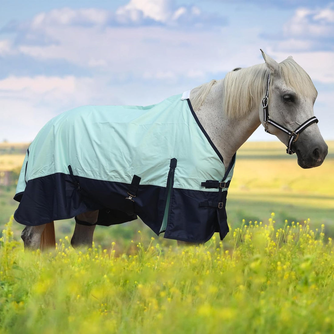 600D Horse Blanket, 0g No-Fill Waterproof Turnout Rain Sheet