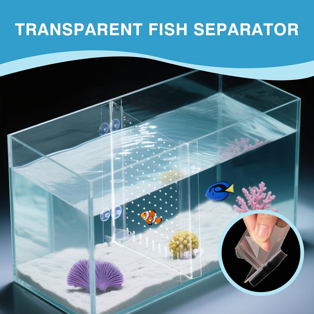 Aquarium Divider with Suction Cup, Clear, 11×11 in