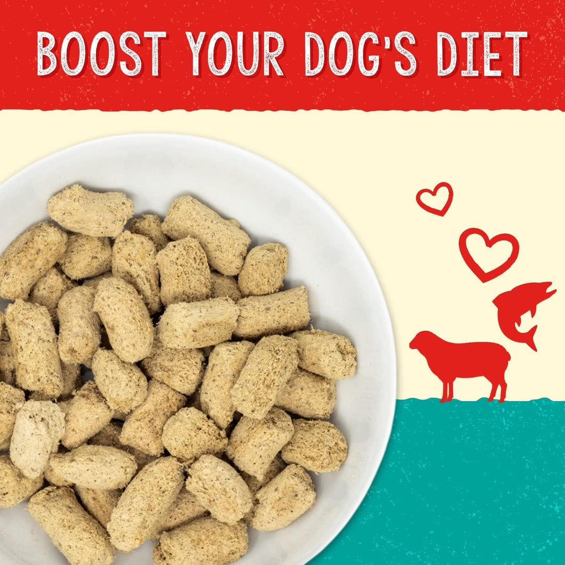 Stella & Chewy's – Stella’s Solutions Skin & Coat Boost