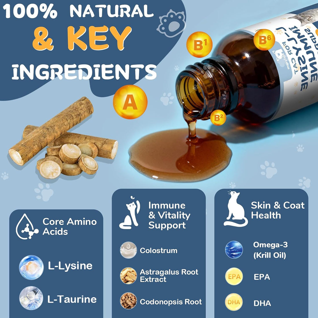 L-Lysine Supplement for Cats