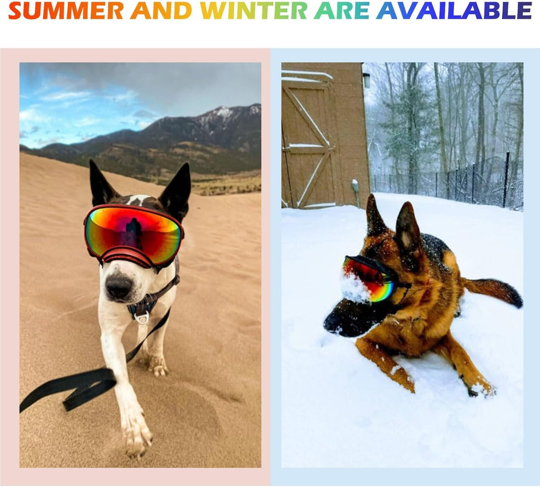 Medium Dog Sunglasses with Adjustable Strap UV Protection