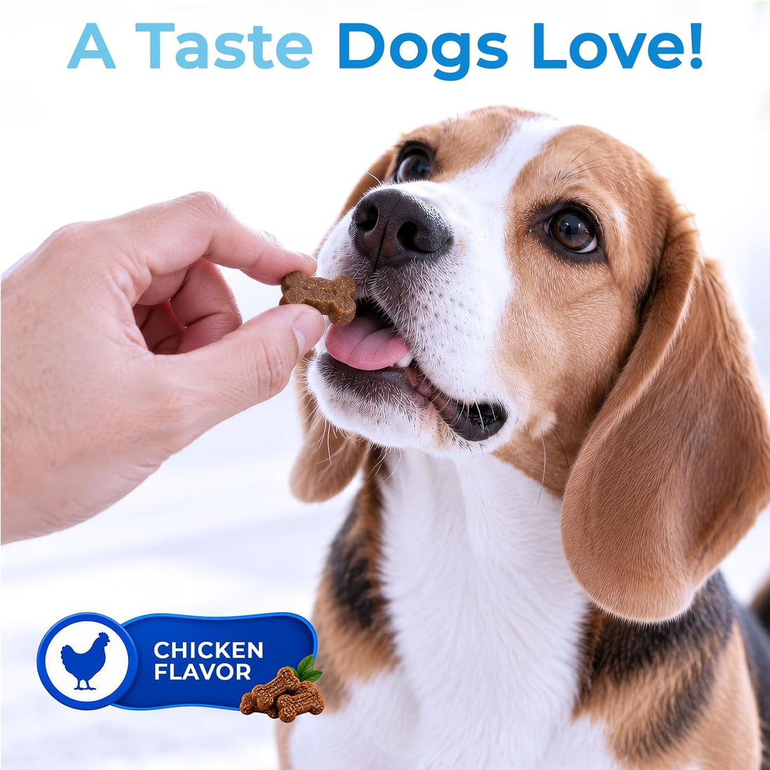 Heart Support Chews for Dogs Chicken 150 Count with Taurine