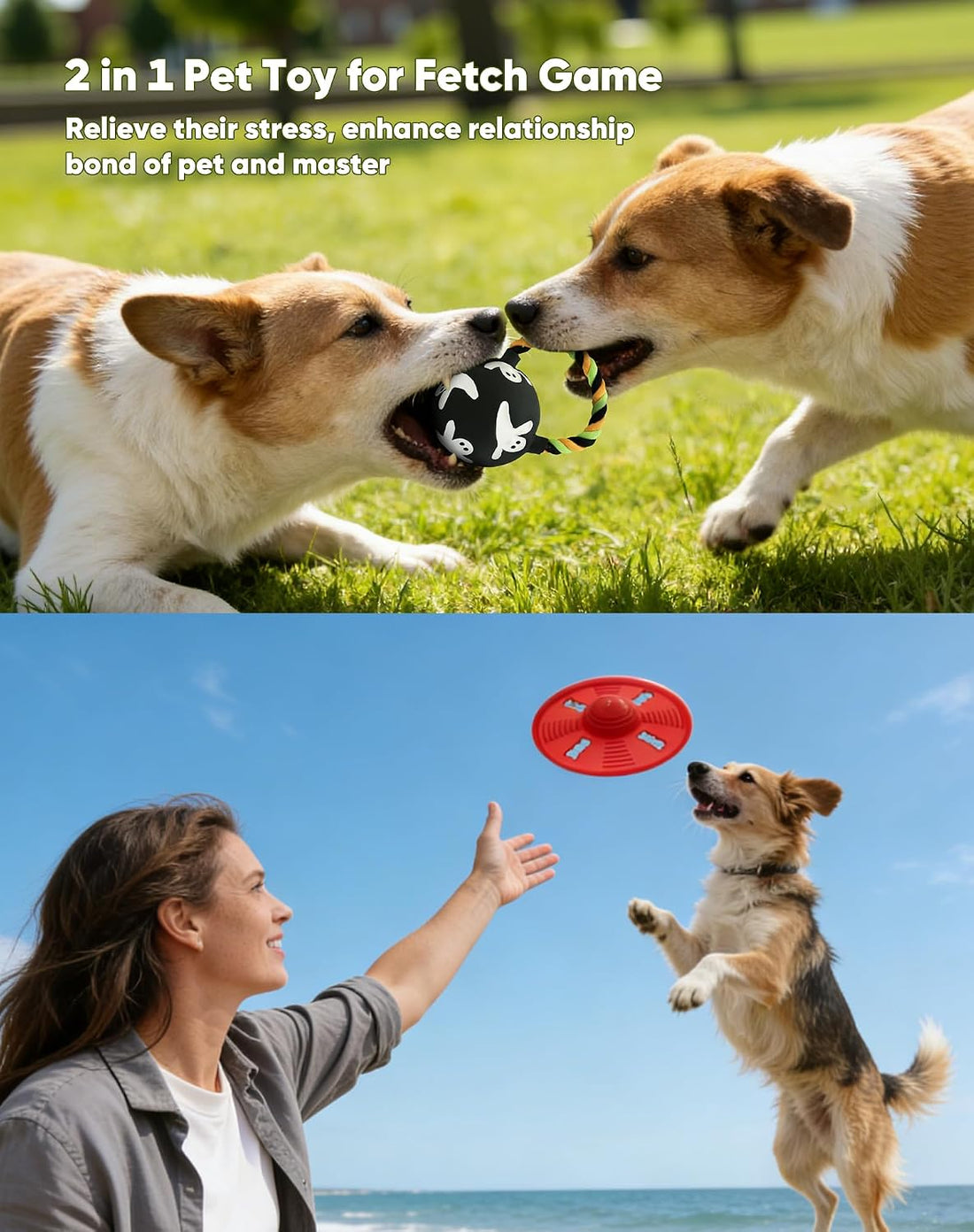 Squeaky Natural Rubber Dog Flying Disc/Frisbee/Flyer with Black Ball