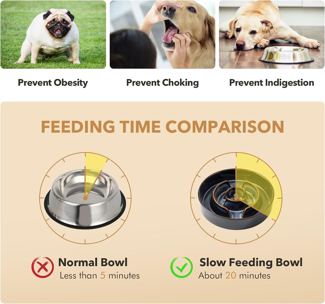 Havniva 1.2 Cup Elevated Slow Feeder Dog Bowls