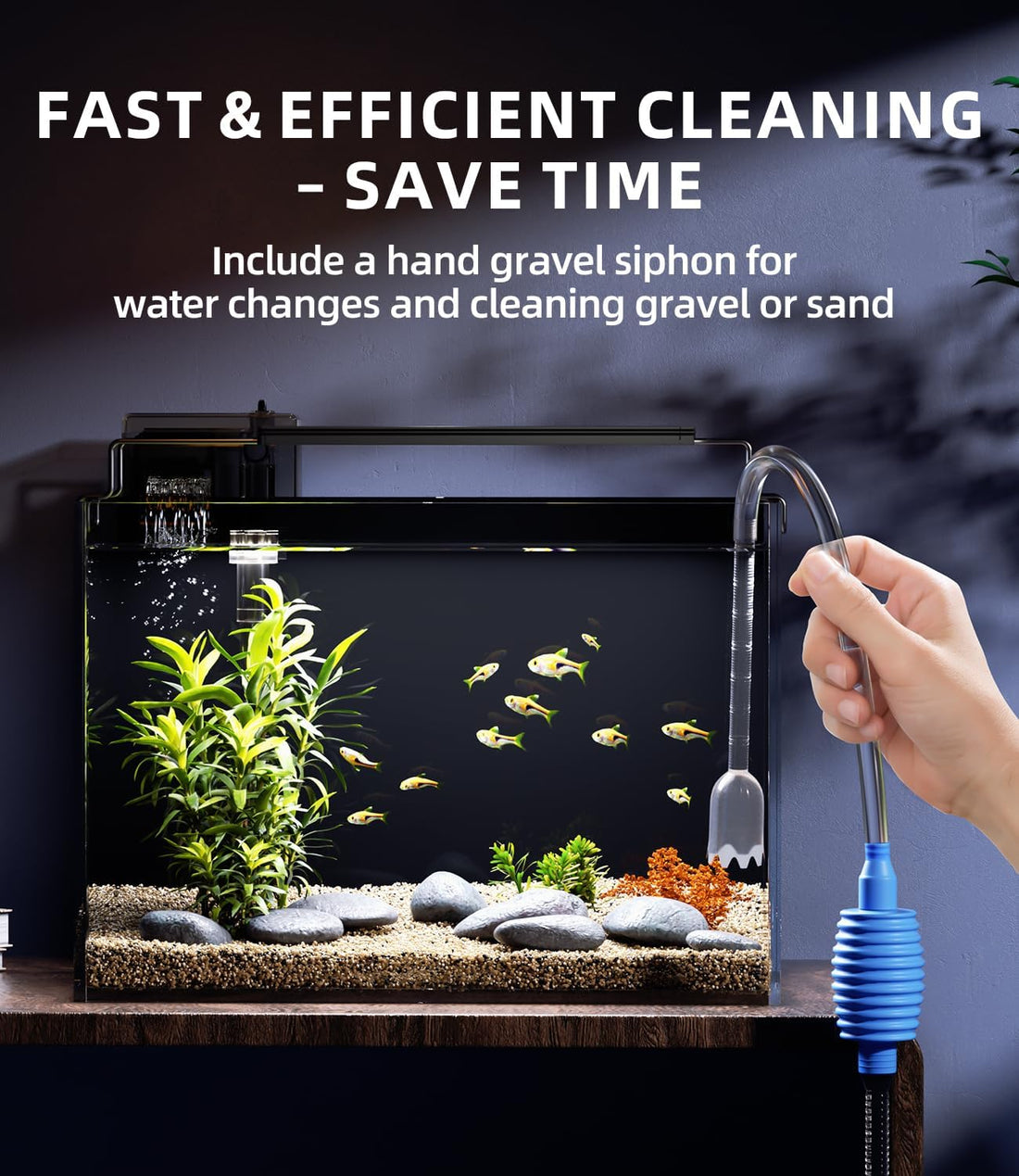 5 Gallon Fish Tank Aquarium Starter Kit with Filter Light Lid Rimless