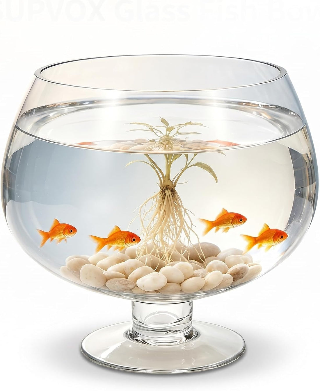 SUPVOX Glass Fish Bowl 6.7 Inch Round Goldfish Tank