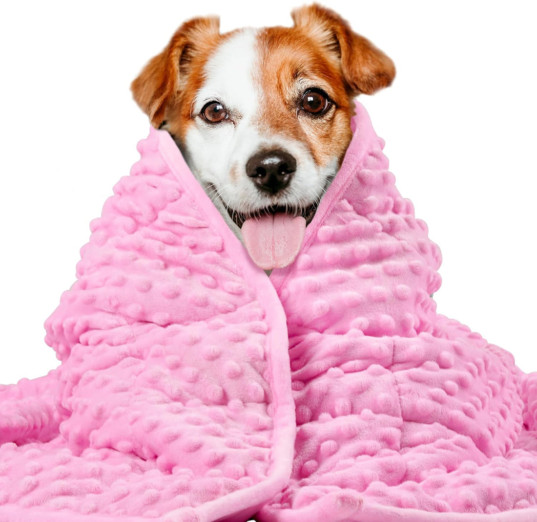 LaSyL Weighted Blanket for Pets | Thunder Blanket for Dogs Anxiety