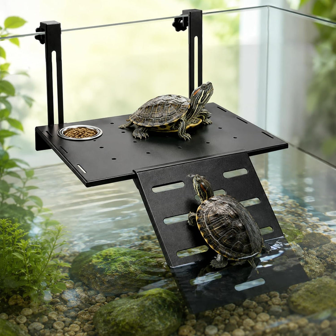 Hanging Turtle Basking Platform, Frog Turtle Resting Accessories