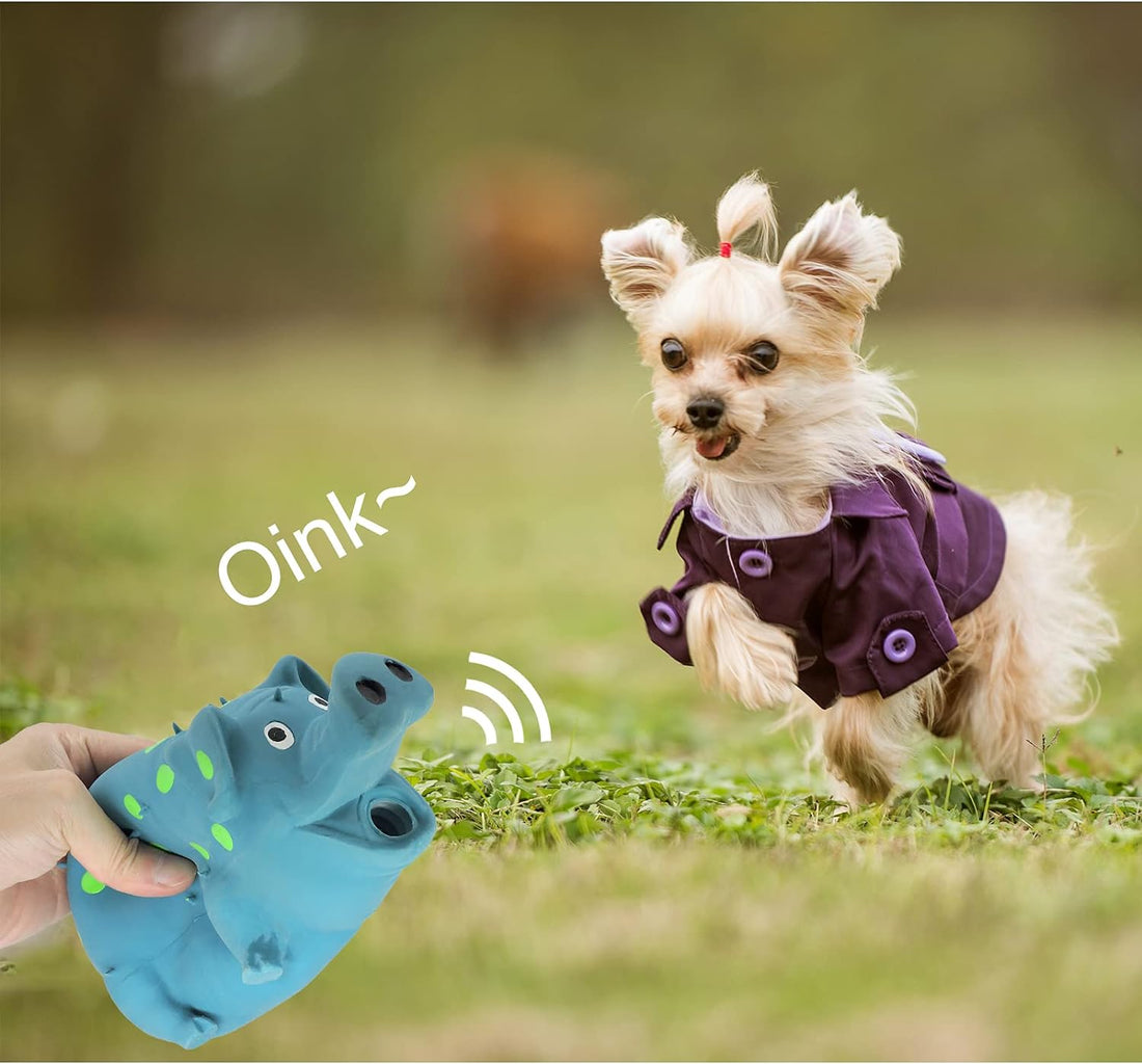 Andiker Dog Squeaky Toy, Dots Latex Dog Chew Toys with a Oinks Sound