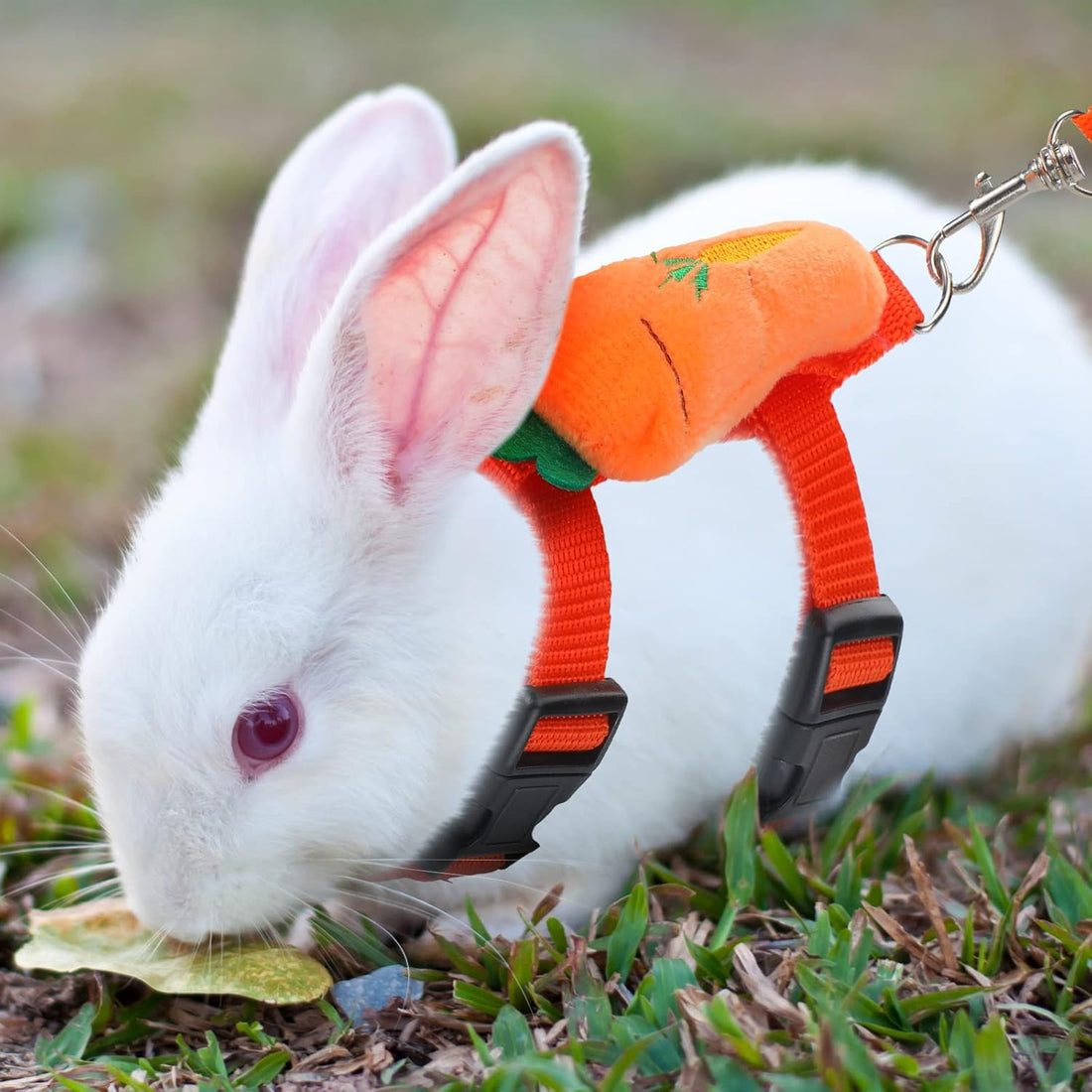 Tondiamo 4 Pcs Adjustable Bunny Harness and Leash Set for Small