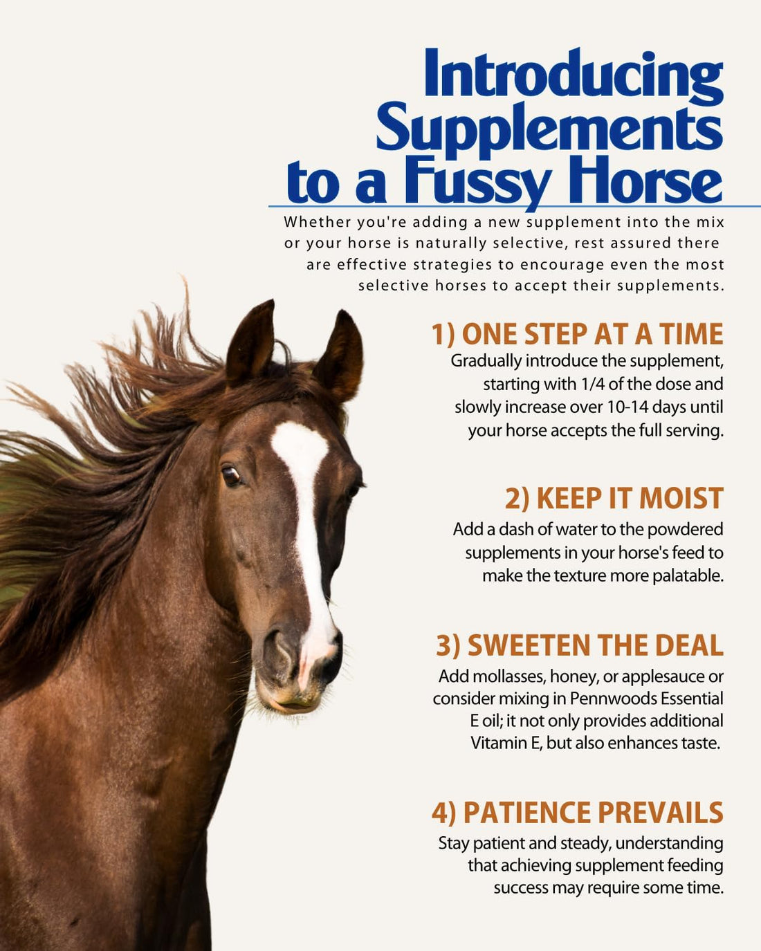 Pennwoods Horse Calming Magnesium Glycinate Powder, Easy Keepers, 5 lb