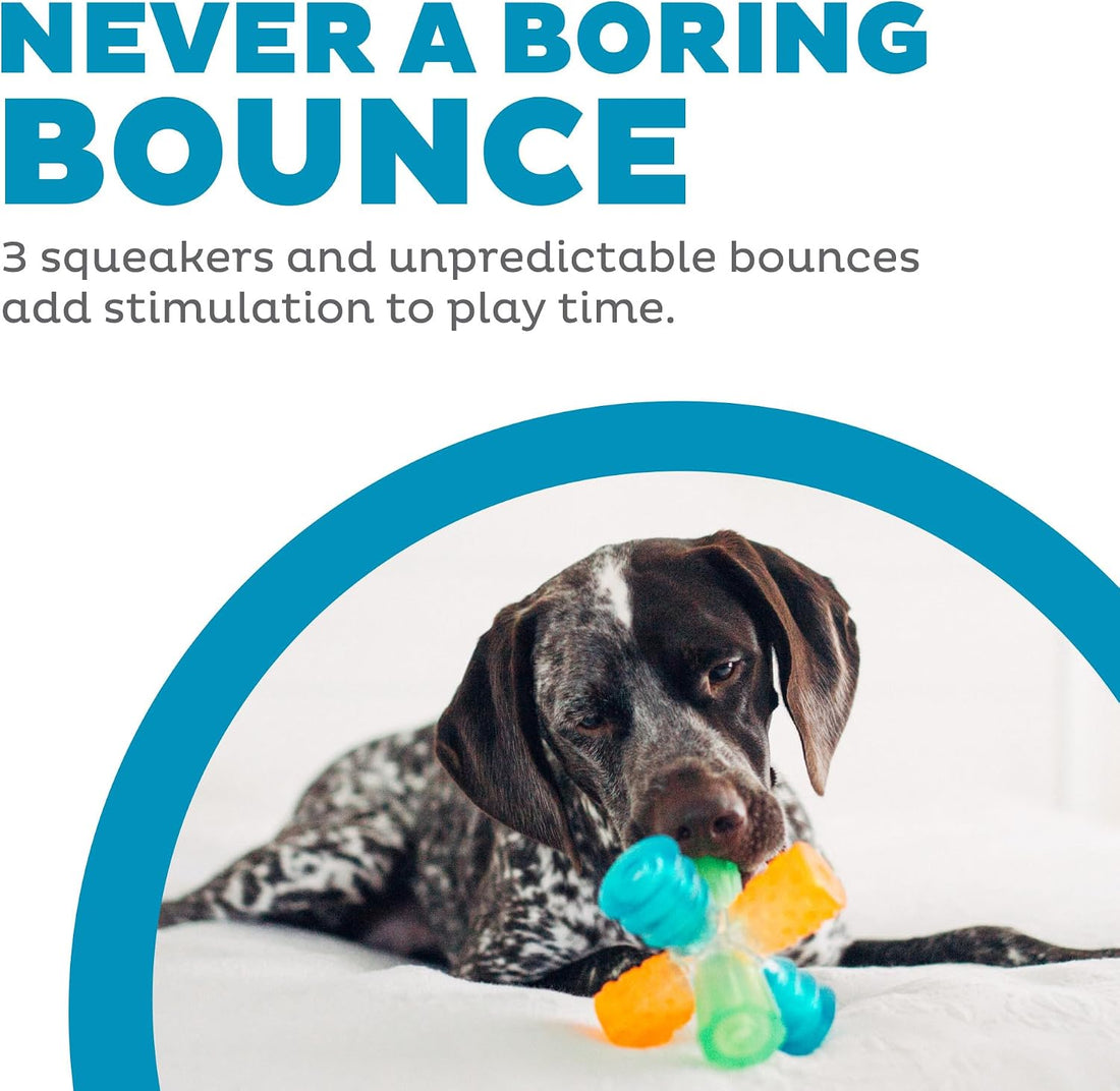 Outward Hound Treat Locking Discs Dog Treat Dispenser Puzzle Toy