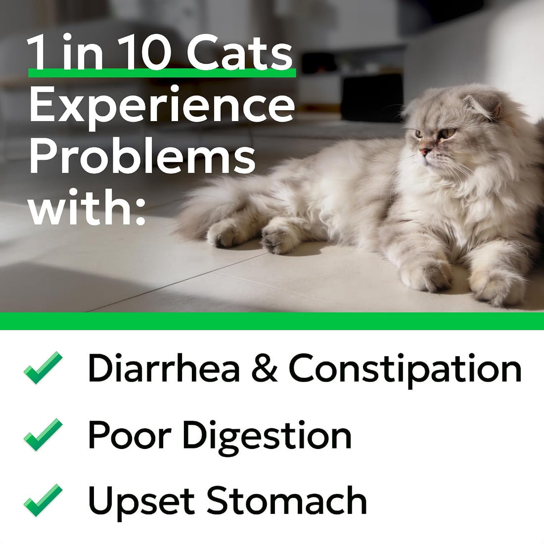 BARK&SPARK Cat Probiotic Powder, 108 Servings