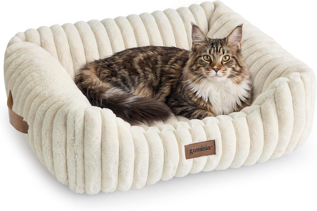ZOMISIA Orthopedic Large Cat Bed with Removable Washable Cover