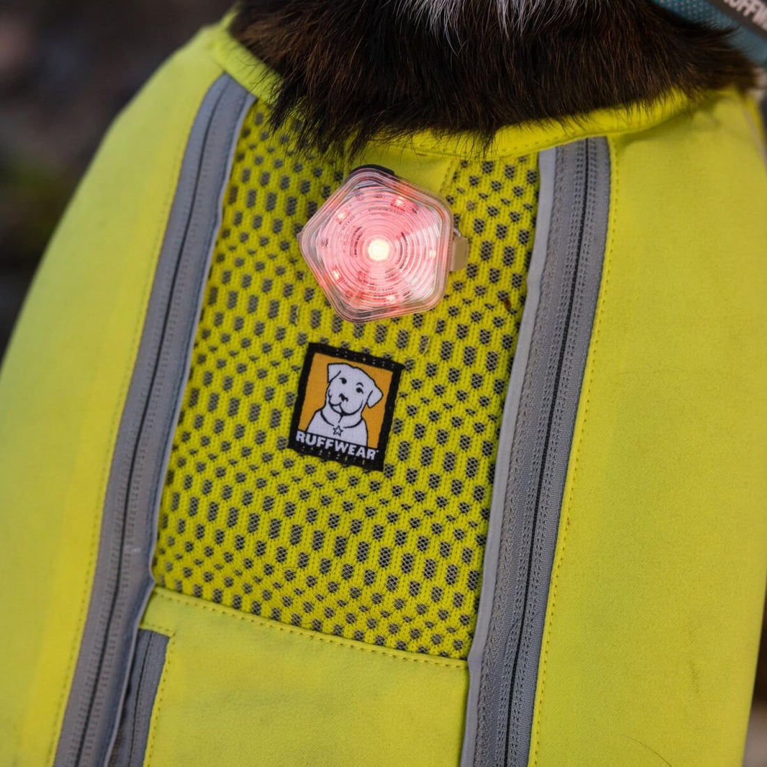 Ruffwear, Beacon Safety Light for Dogs, Clear Lake