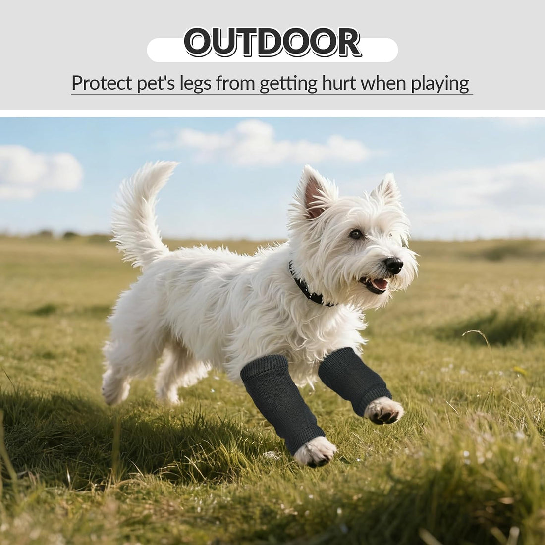 ROZKITCH 4 PCS Dog Leg Protection to Help Reducing Licking Scratching
