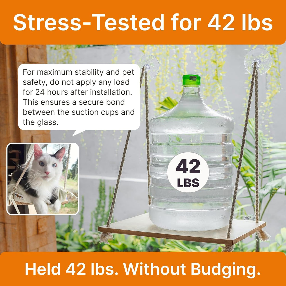 Cat Window Perch with Industrial-Grade Suction Cups