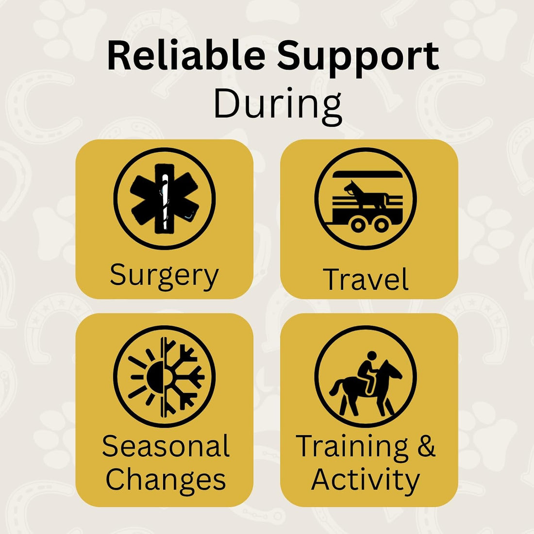 Horse Digestive Support System | Emergency & Daily GI Balance