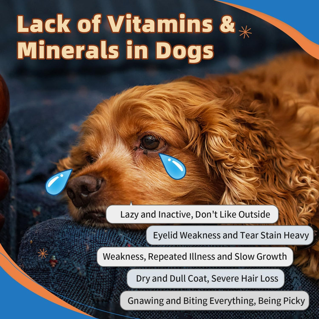 ZEBORA Dog Multivitamin Powder with Glucosamine