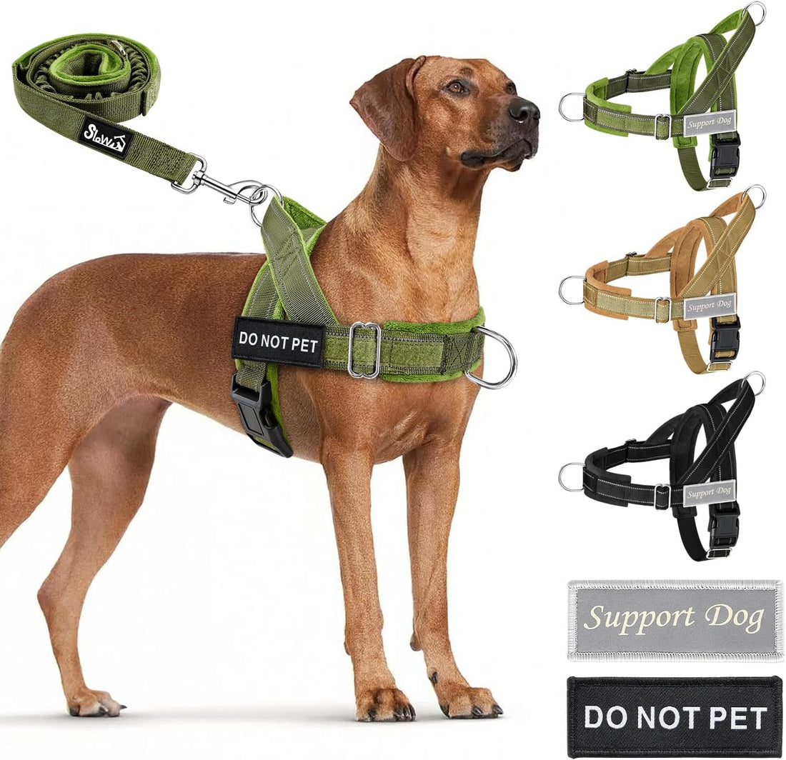 Lukovee No Pull Dog Harness and Leash Set, Soft Padded, with 5ft Leash