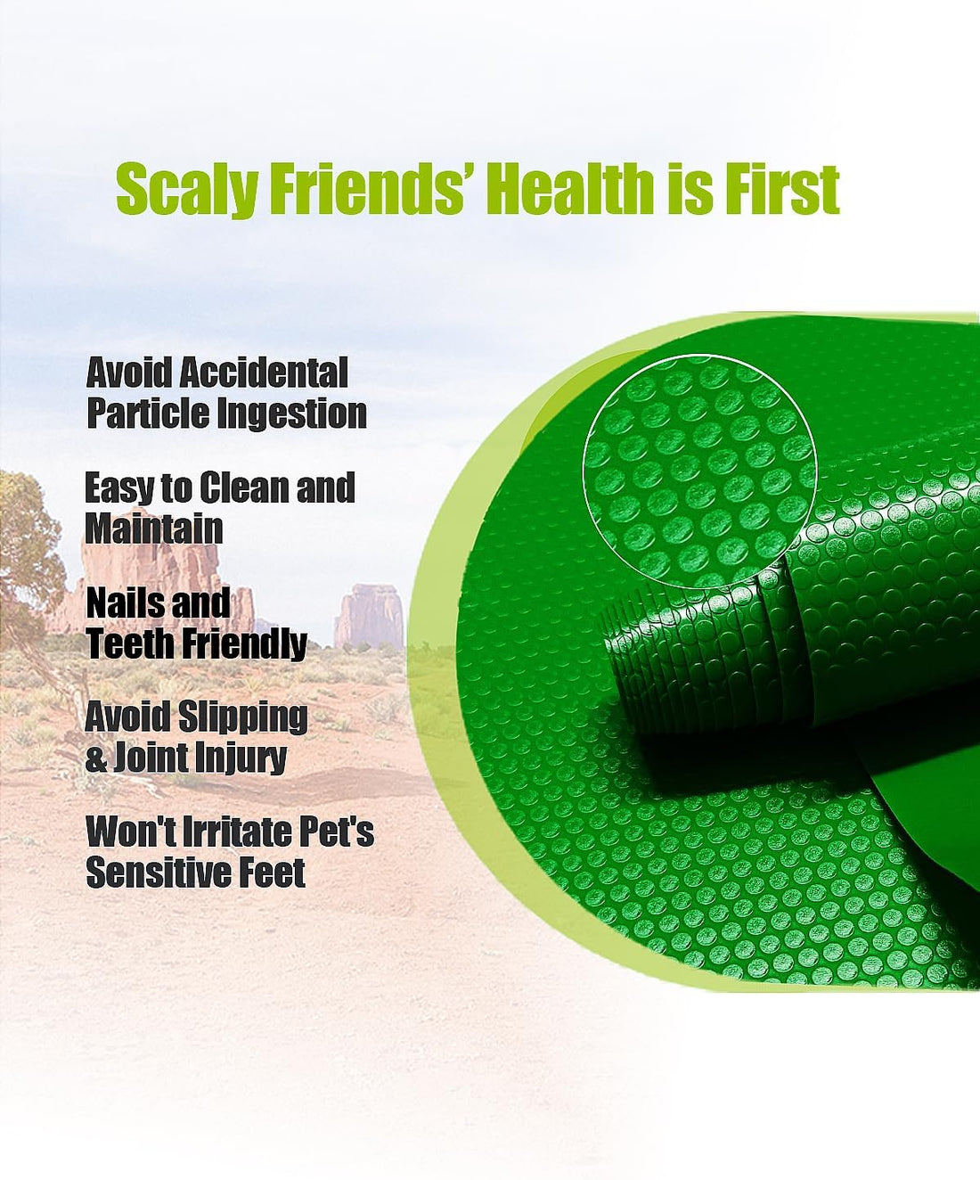 Bearded Dragon Tank Accessories, Reptile Substrate Floor