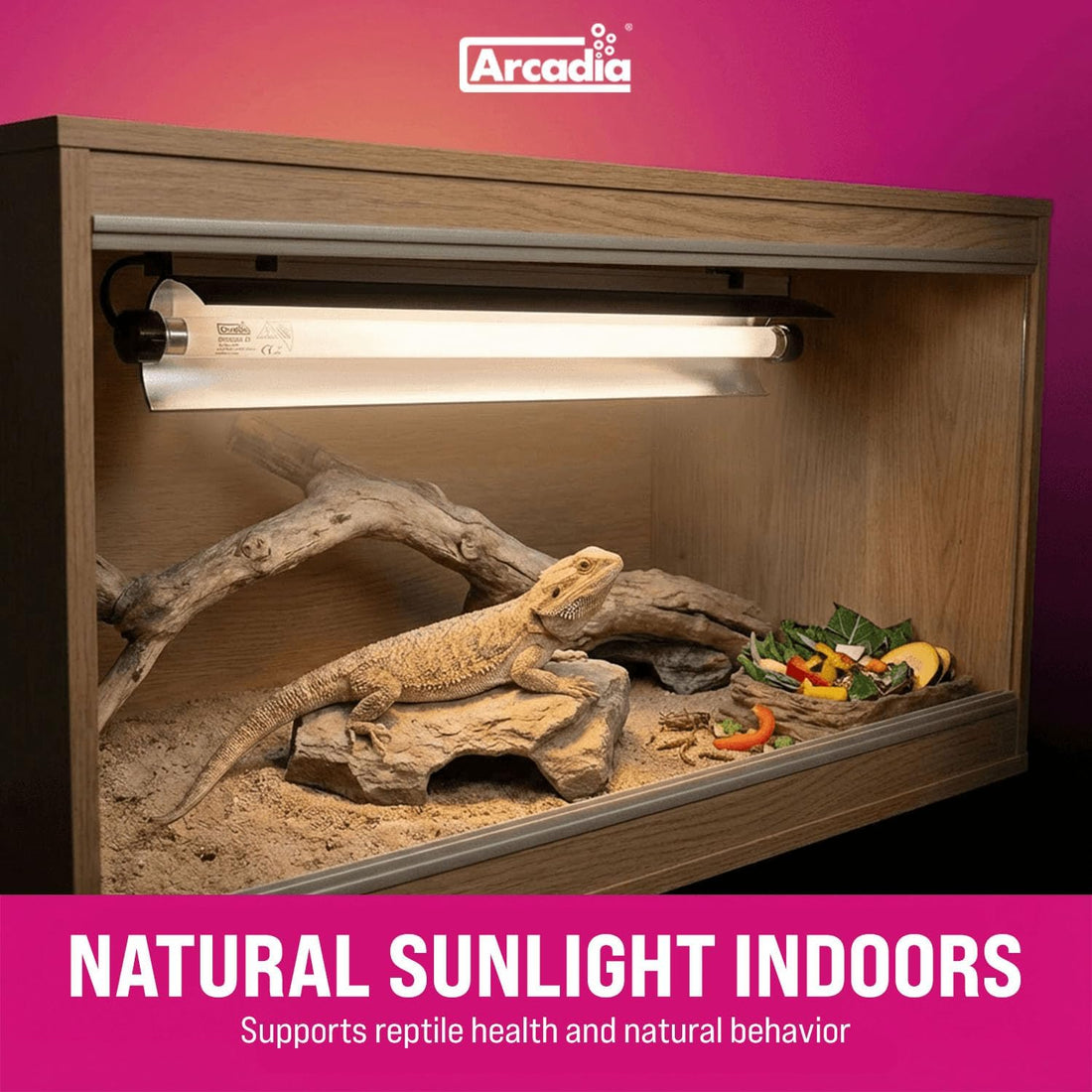 Arcadia Pro T5 UVB Lighting Kit - 39W - Dragon