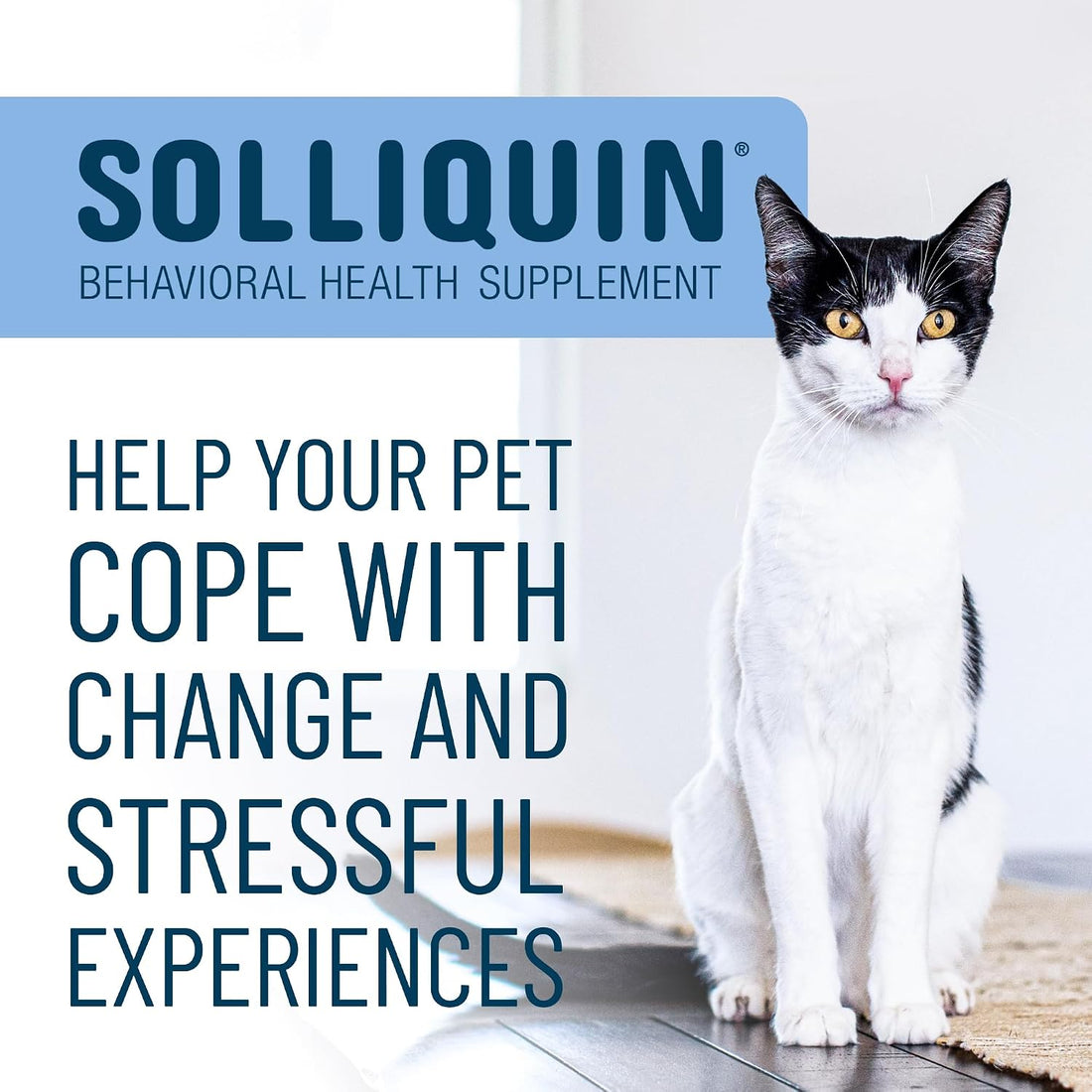 Nutramax Solliquin Calming Behavioral Health Supplement for Small