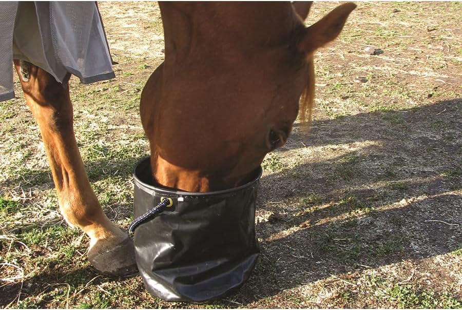 Cashel Collapsible Water Pail Large