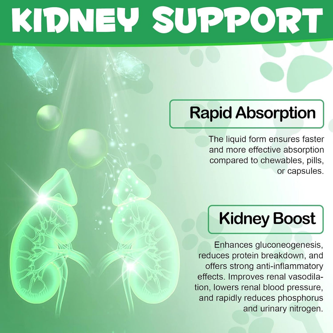Kidney Support for Cats, Cat Kidney Treatment Support Normal Kidney