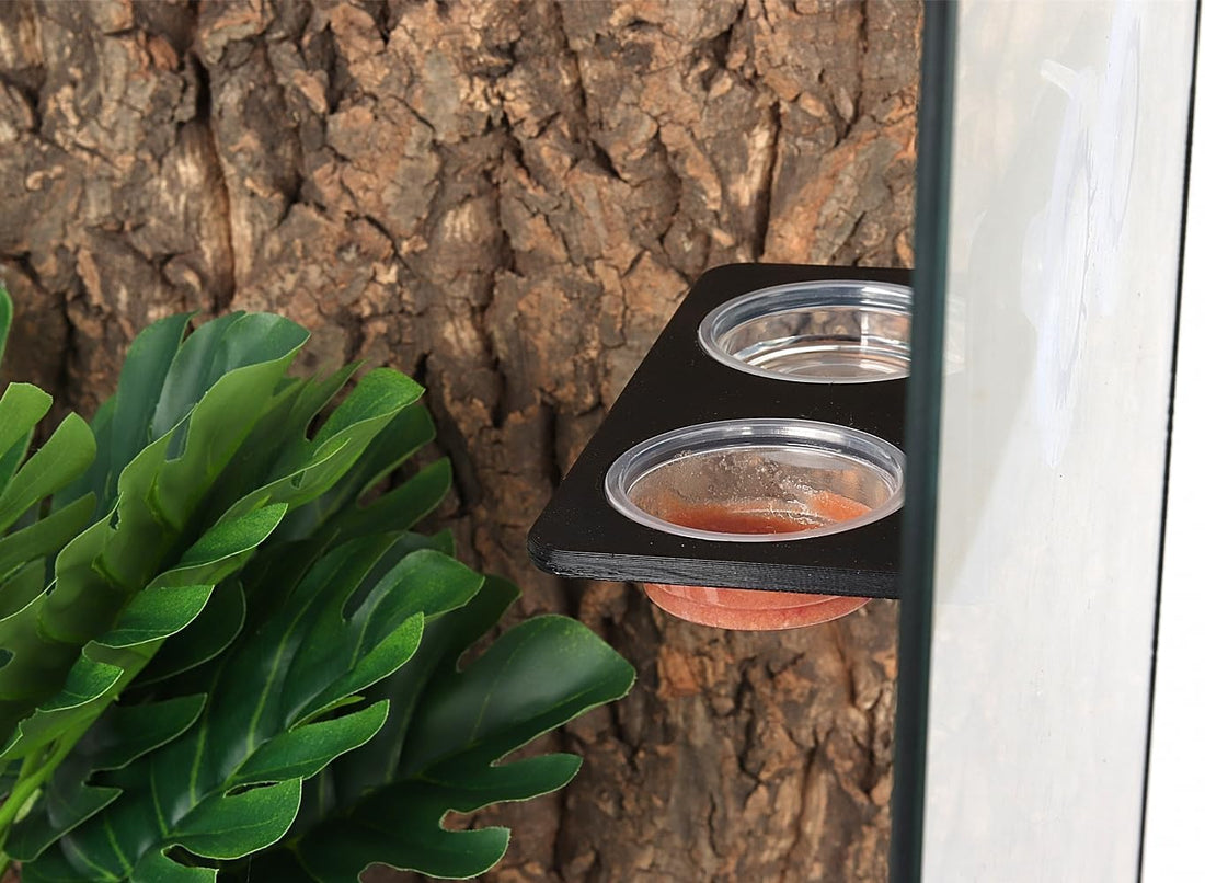 Crested Gecko Feeding Ledge with 10PCS Reptile Food Cups