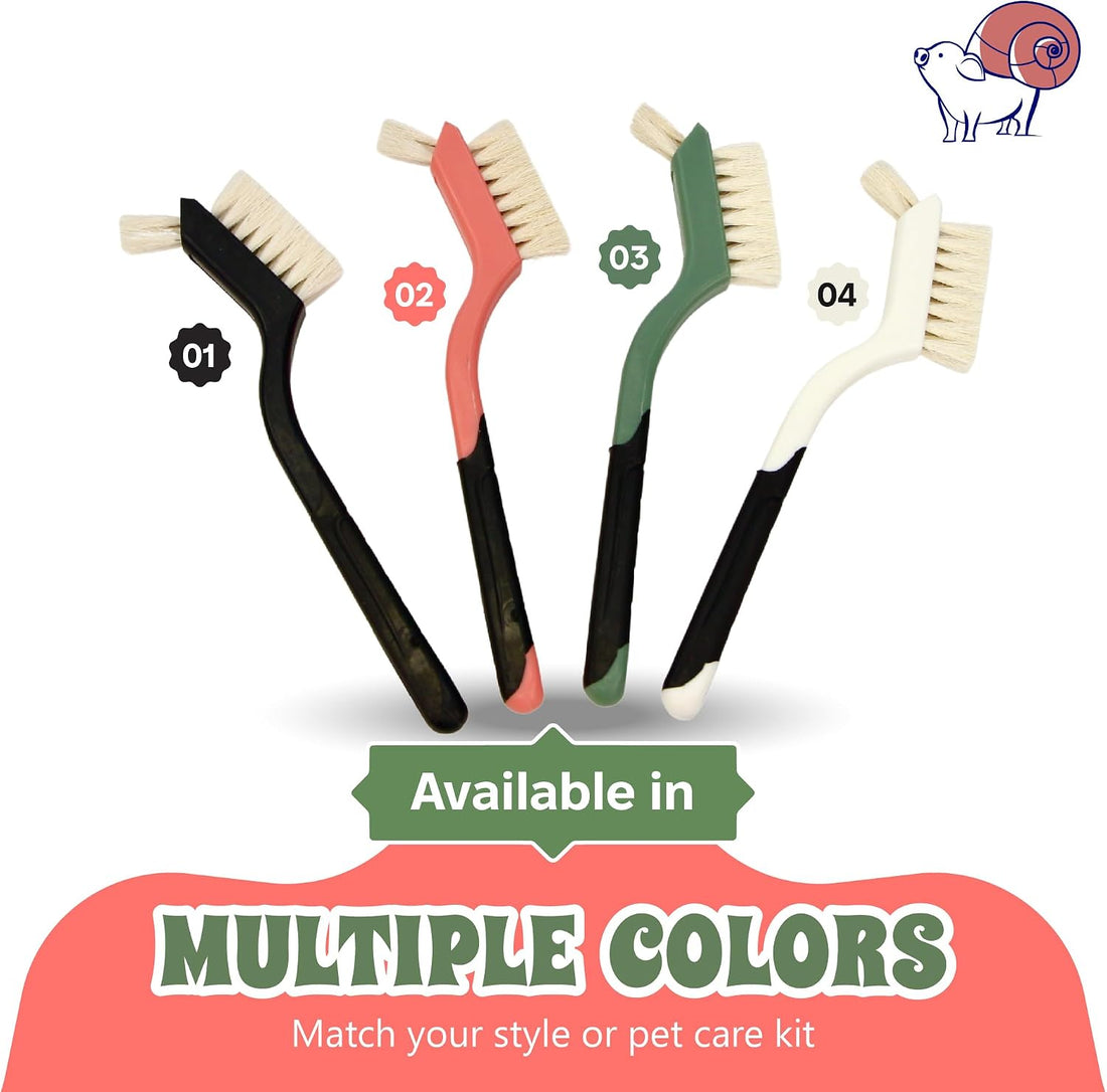 Turtle Cleaning Brush Remove Aquatic Mud, Dirt