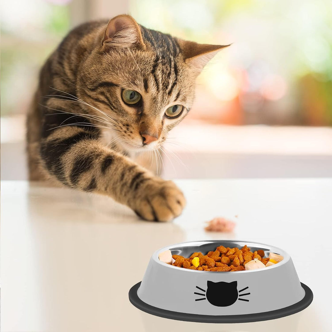 Serentive 2 Pcs Non-Slip Stainless Steel Small Cat Food Bowls