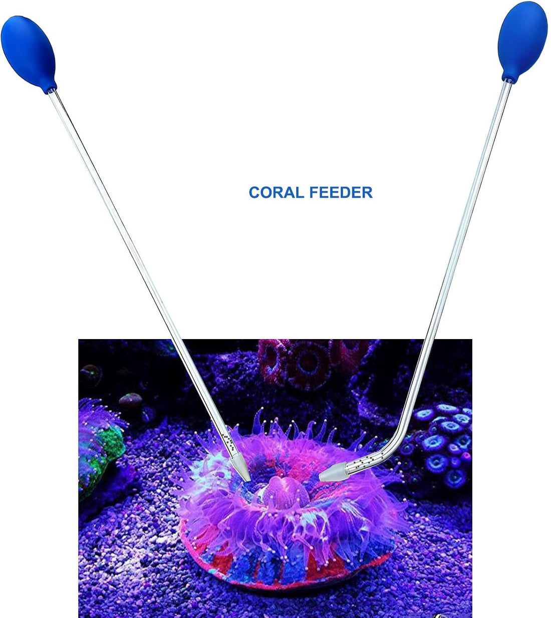 Coral Feeder with Extra-Long 18.5" Tube – Durable Leak-Proof Bulb