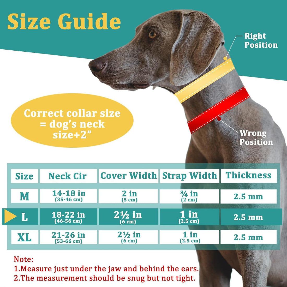 Mayerzon No Pull Collar for Large Medium Dogs Walking that Pull, Cyan
