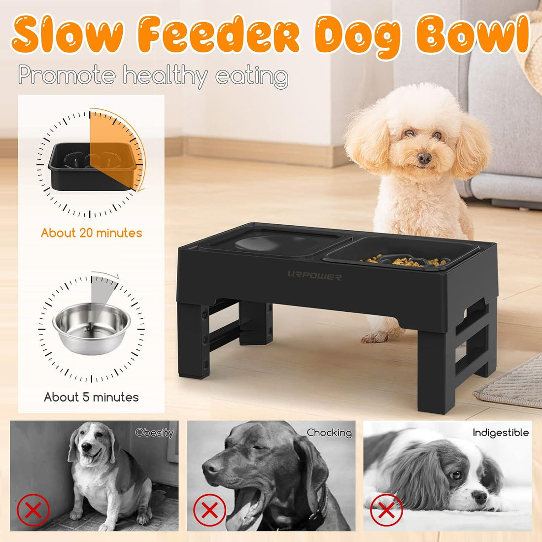 URPOWER 2-in-1 Elevated Slow Feeder Dog Bowls with No-Spill Water Bowl