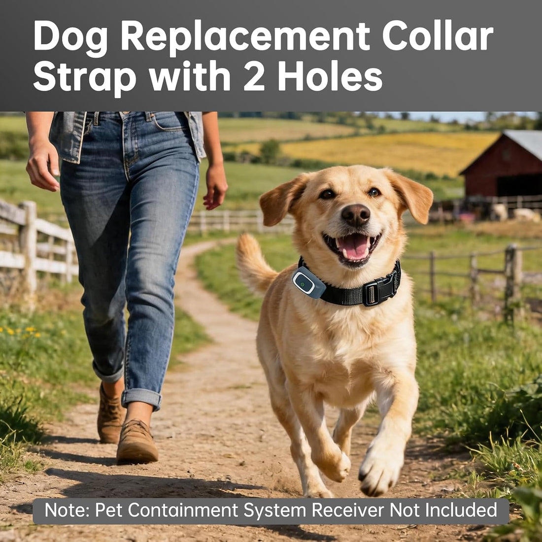 Replacement Collar Compatible with Petsafe If 100,Black