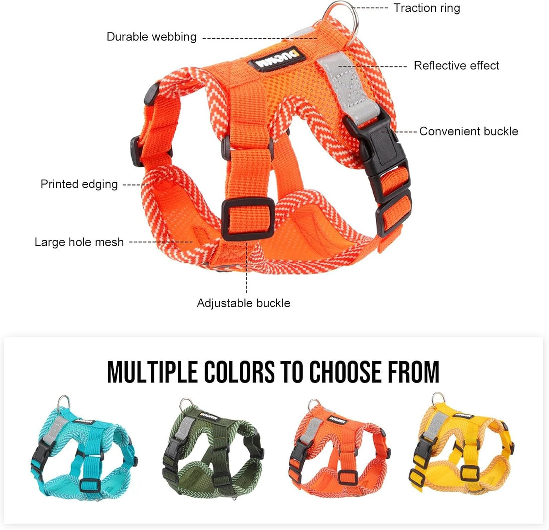 Large Cat Harness and Leash Set