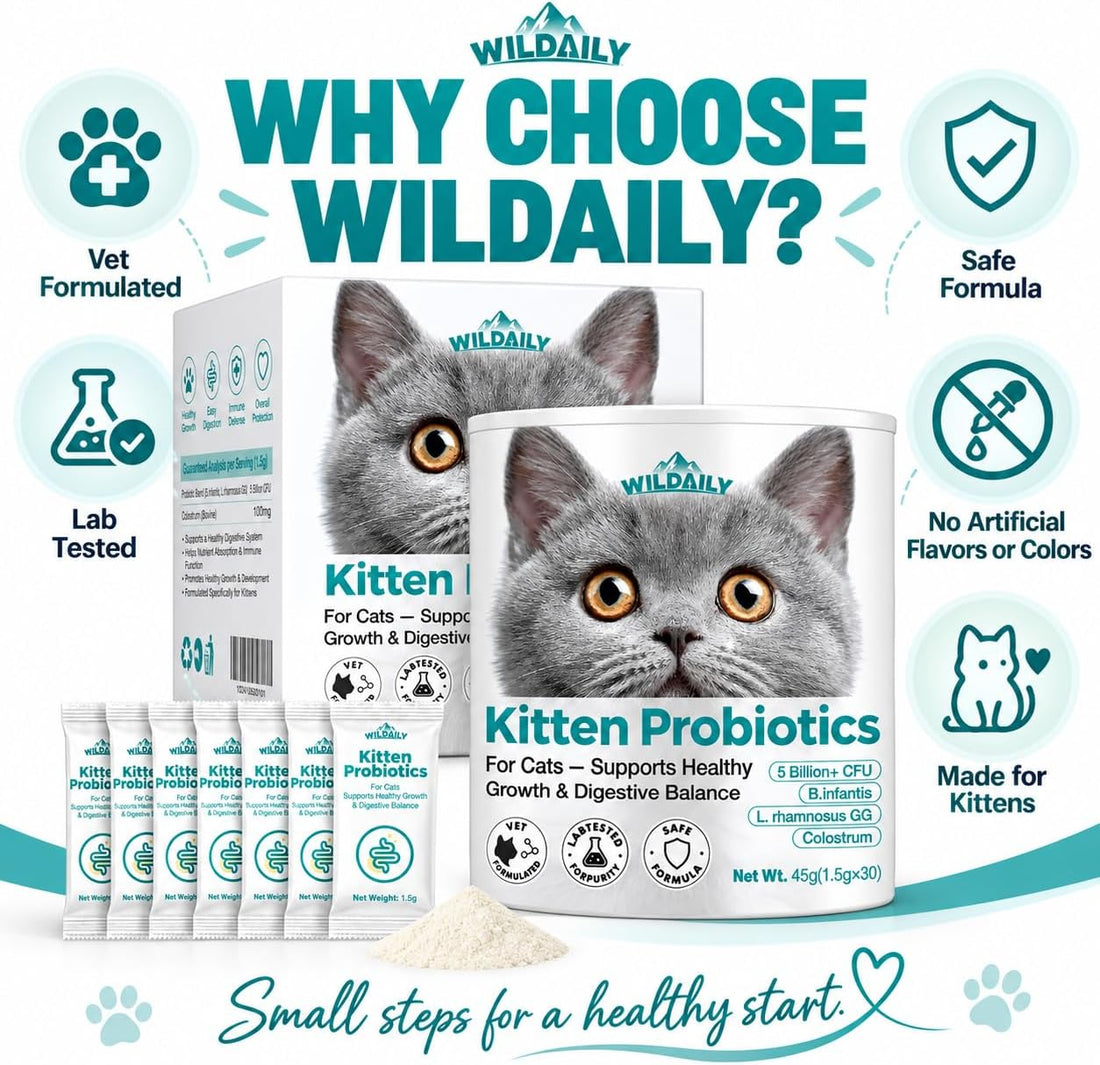 Wildaily Cat Probiotics,Veterinary-Formulated Kitten Probiotics
