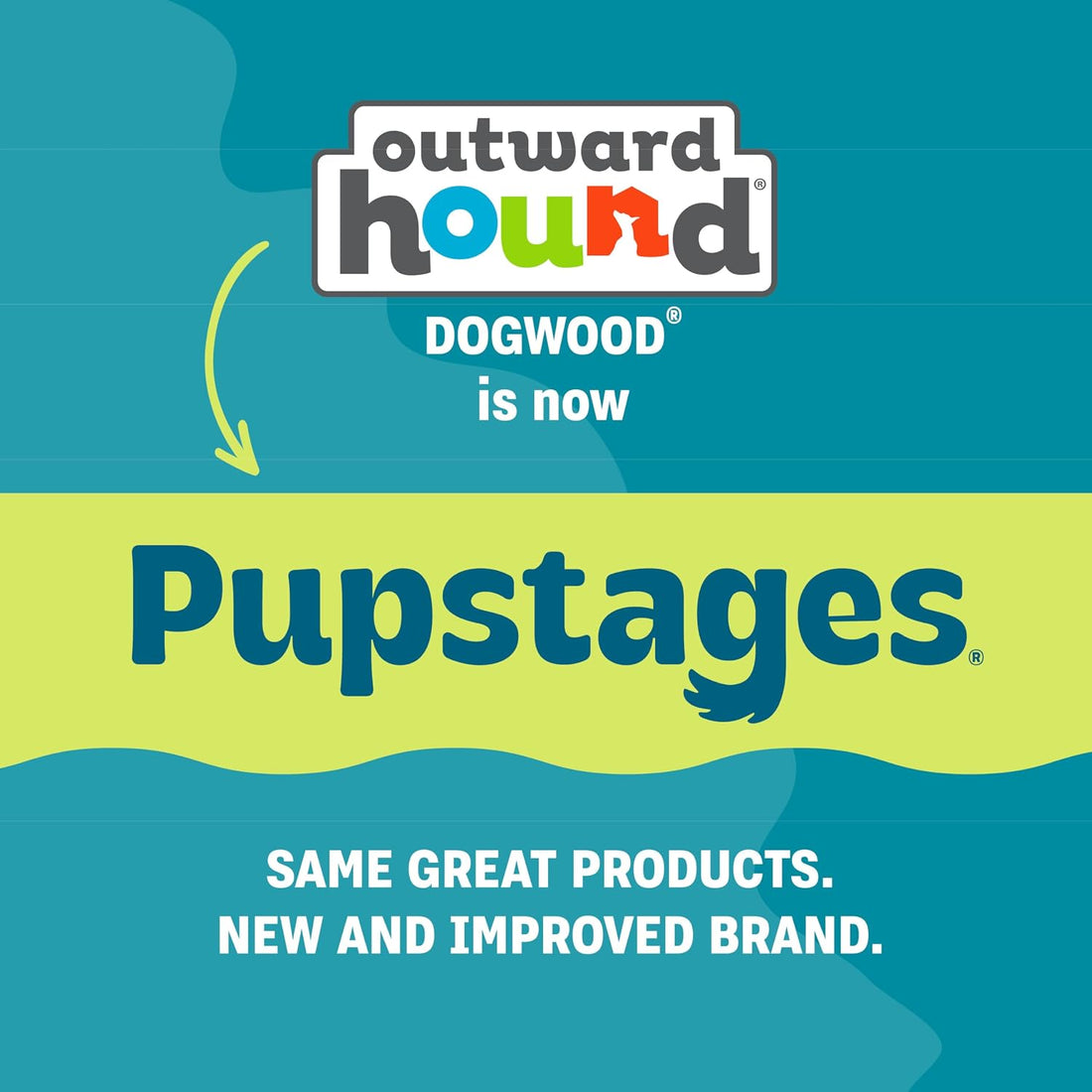 Pupstages Super Dogwood Dog Chew Toy, Made in the USA