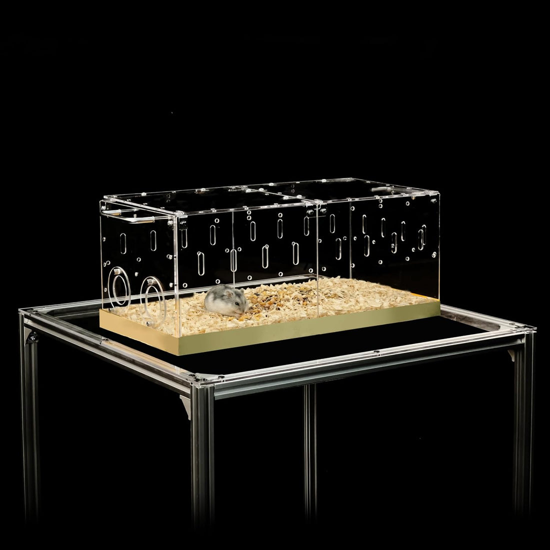 GuineaLoft™ Acrylic Cage - Small 2x1' Enclosure w/Lid & Bottom