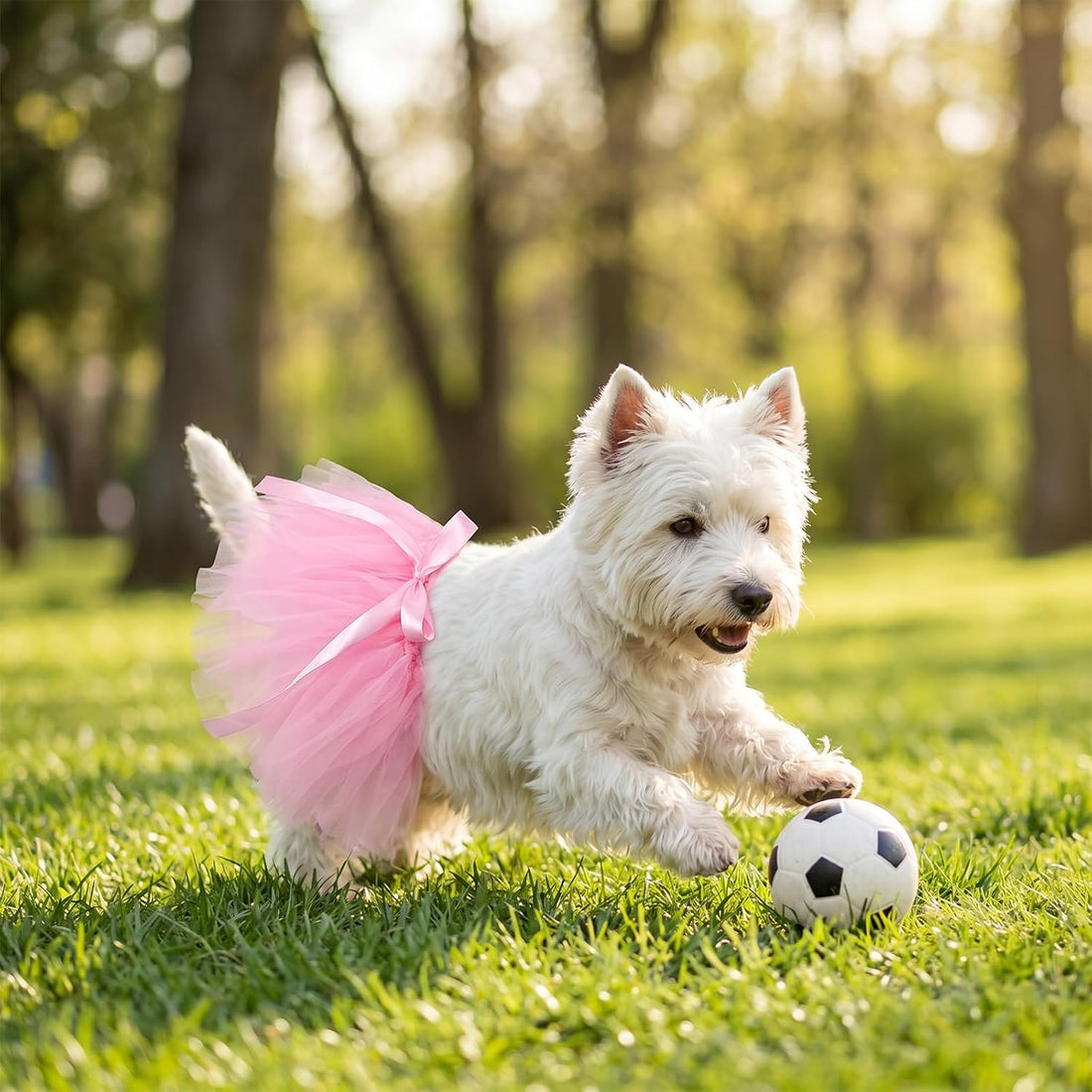 choyaxo Dog Tutu Puppy Dress Dog Skirt
