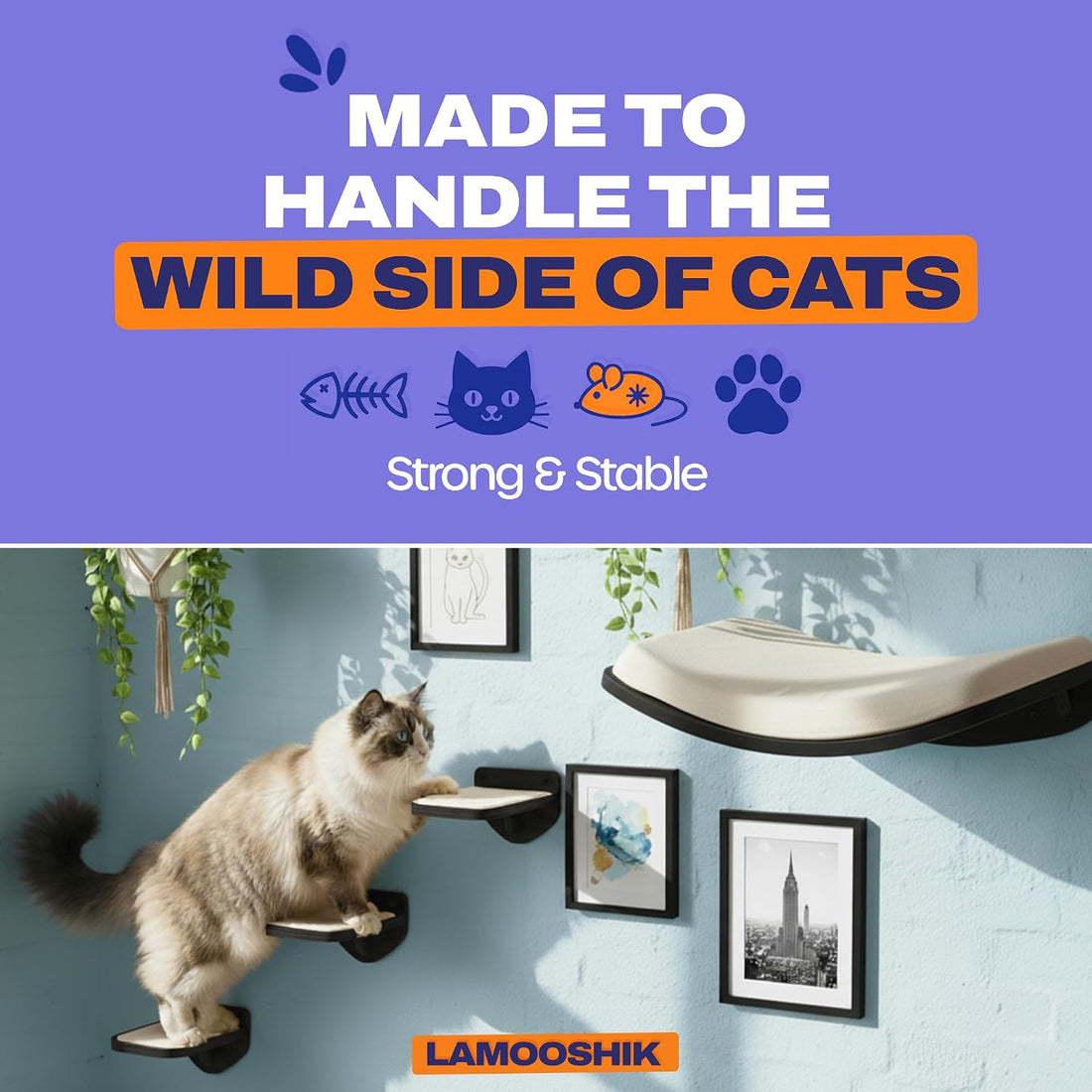 Cat Wall Shelves, Walnut Floating Cat Furniture with Bed & Steps