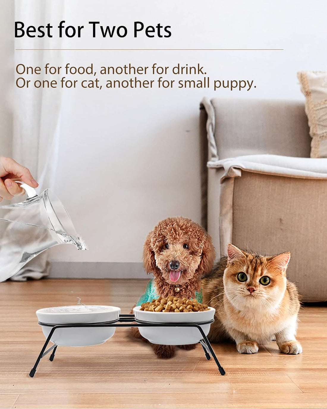 Anti-Vomiting Raised Cat Bowls