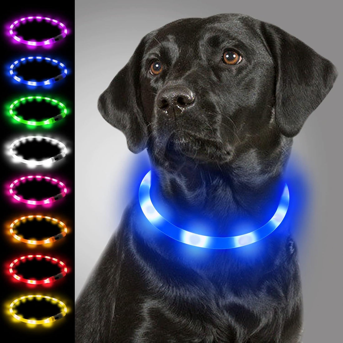 Joytale Light Up Dog Collar, LED Silicone Cut-to-Fit Rainproof