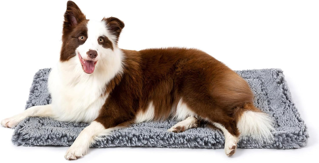 PELZIN Stoutwool 2.0 Indestructible Dog Bed