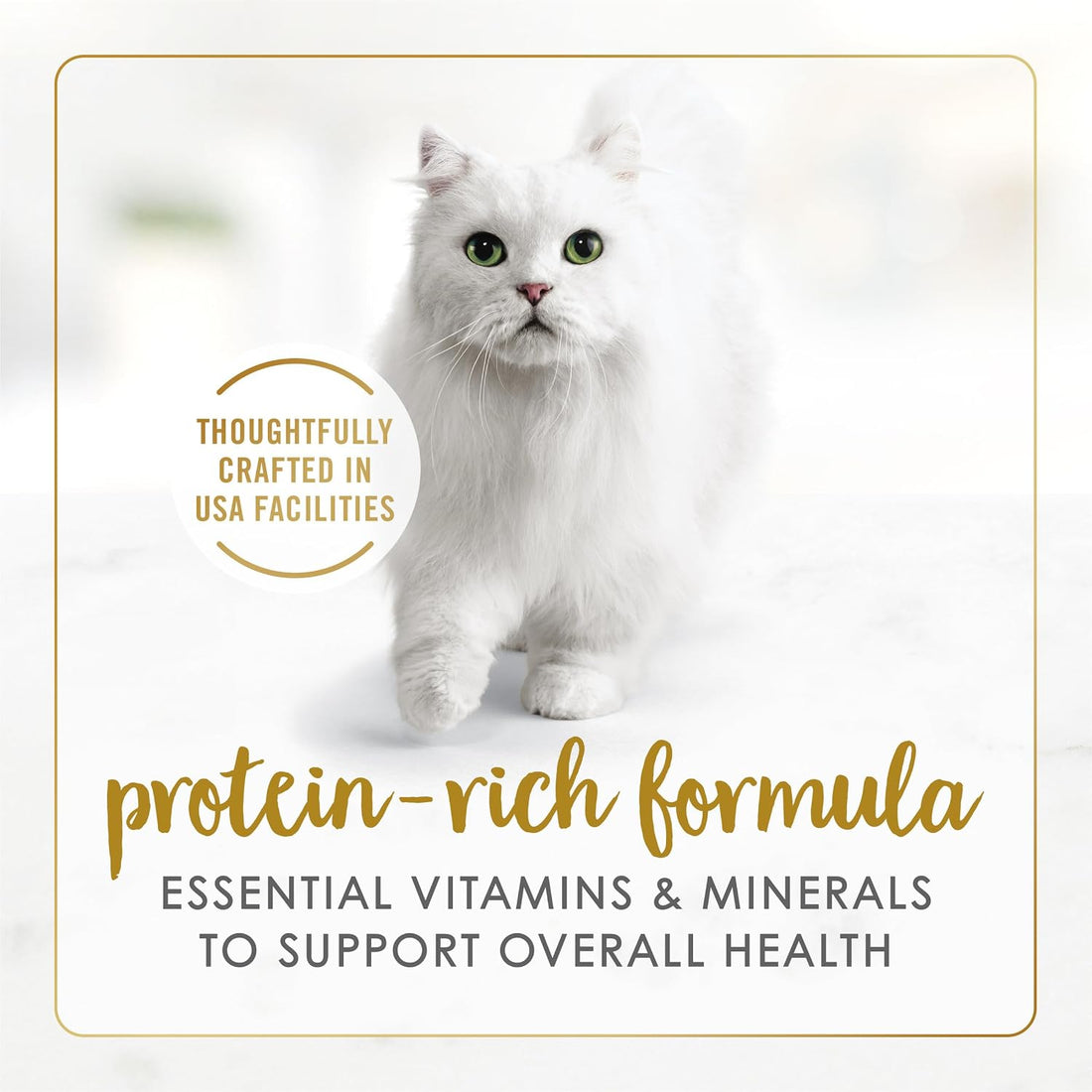 Purina Fancy Feast Delights with Cheddar Grilled Chicken